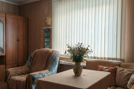 Большой дом на рюме